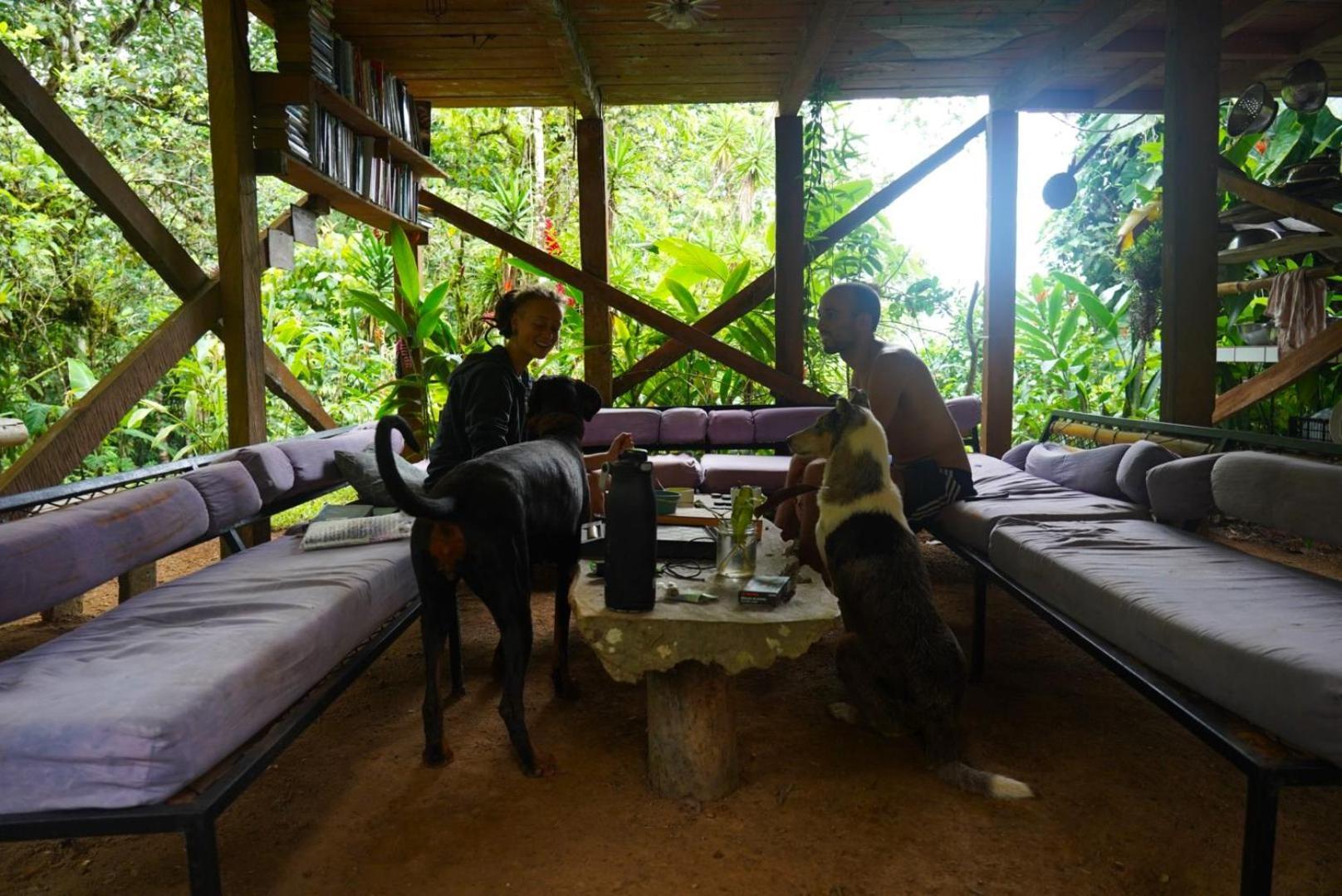 Bolita Rainforest Hostel&Cabinas Dos Brazos Exterior foto