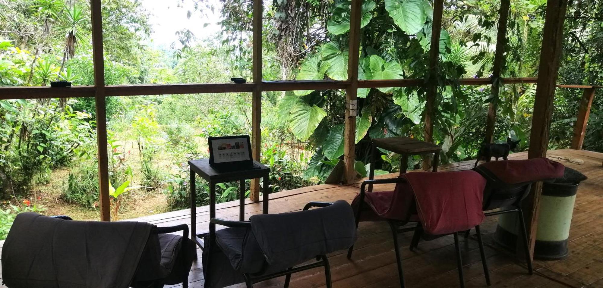 Bolita Rainforest Hostel&Cabinas Dos Brazos Exterior foto