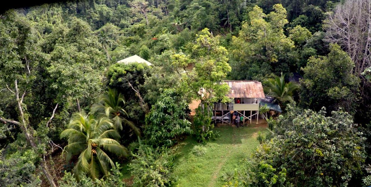Bolita Rainforest Hostel&Cabinas Dos Brazos Exterior foto