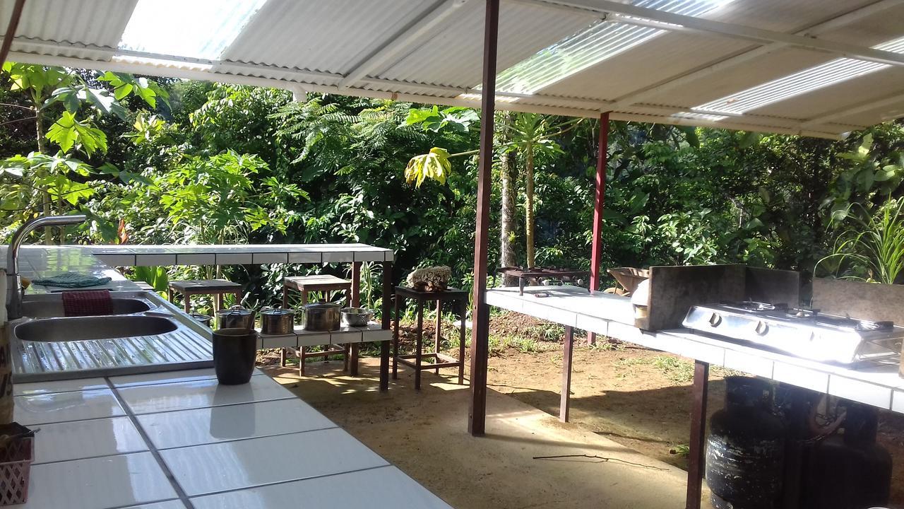 Bolita Rainforest Hostel&Cabinas Dos Brazos Exterior foto